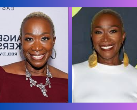 joy reid net worth